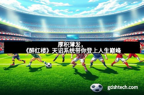 厚积薄发，《醉红楼》天诏系统带你登上人生巅峰